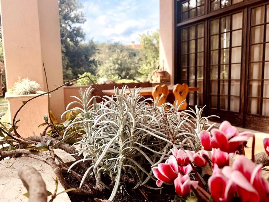 Apartamento Raffinatezza Rustica Nella Campagna Veneziana Canton  Exterior foto