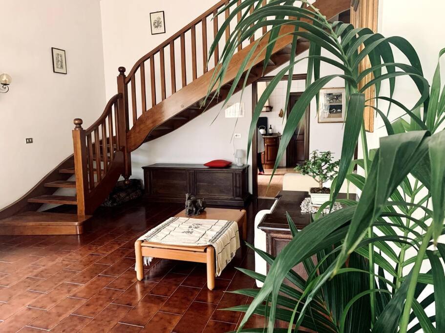 Apartamento Raffinatezza Rustica Nella Campagna Veneziana Canton  Exterior foto
