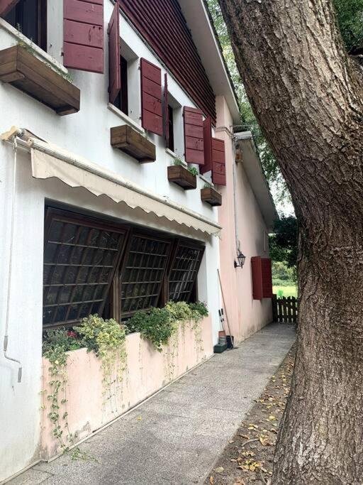 Apartamento Raffinatezza Rustica Nella Campagna Veneziana Canton  Exterior foto